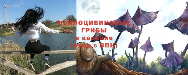 соль ск Липки