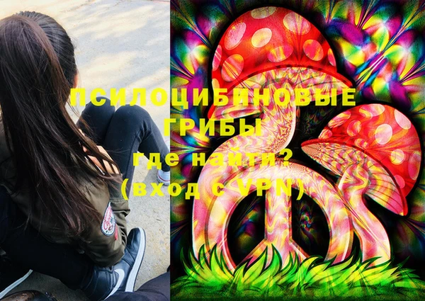соль ск Липки