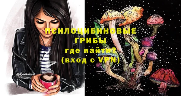 соль ск Липки