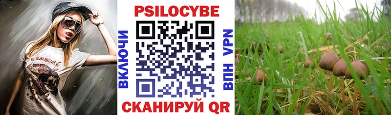 Купить где  Островной  Галлюциногенные грибы MAGIC MUSHROOMS 